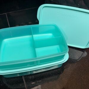 Tupperware Teal Divided Storage Box (2)